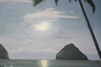 Clair de Lune à Hawaï #32